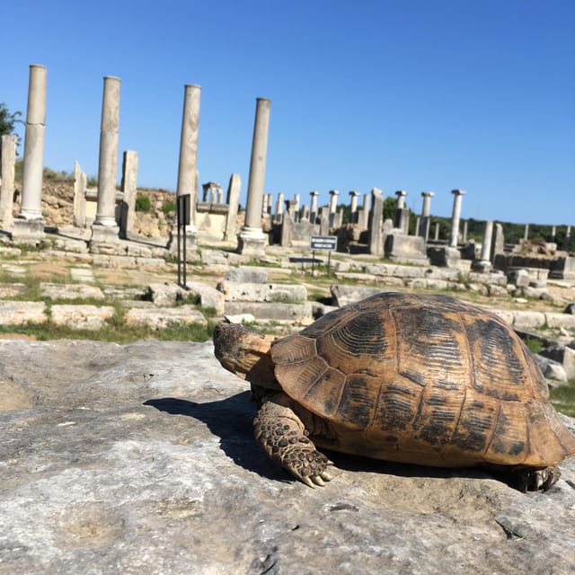 Call Of Ancient History In Perge - Encounter With Alexander the Great