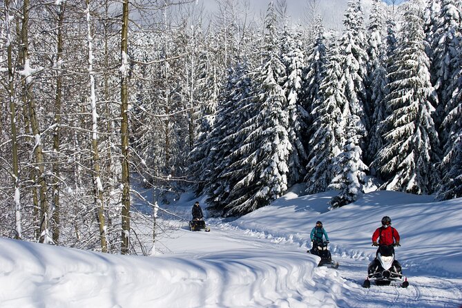 Callaghan Cruiser Snowmobile Tour - Cancellation Policy