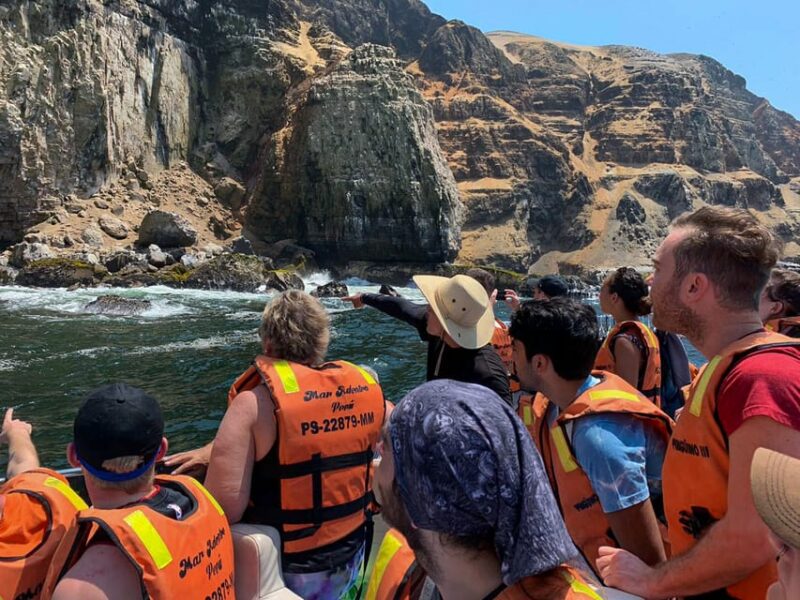 Callao: Swimming With Sea Lions Palomino Islands Boat Tour - Itinerary and Experience