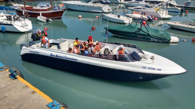 Callao: Swimming With Sea Lions Palomino Islands Boat Tour - Meeting Point and Arrival
