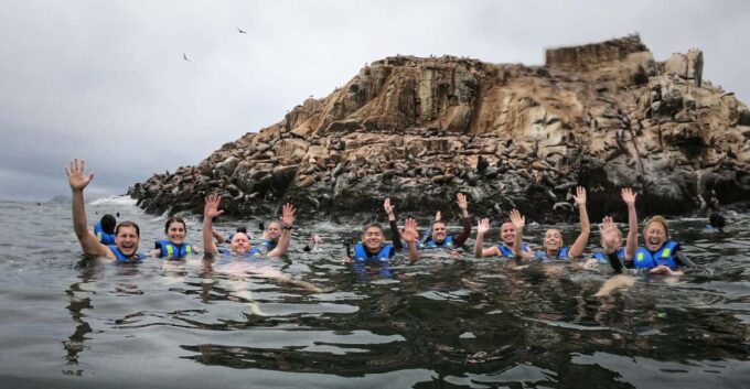 Callao: Swimming With Sea Lions Palomino Islands Boat Tour - Additional Information and Tips