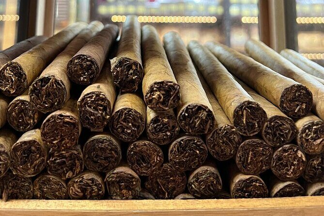 Calle Ocho Walking and food Tour: Cigars, coffee and Live Salsa - Why This Tour Offers Great Value