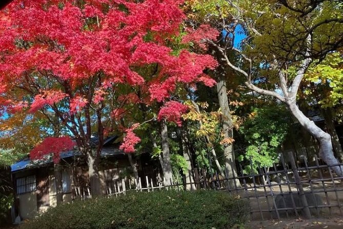 Calligraphy Experience at an Old House Near Matsumoto Castle - Booking Information