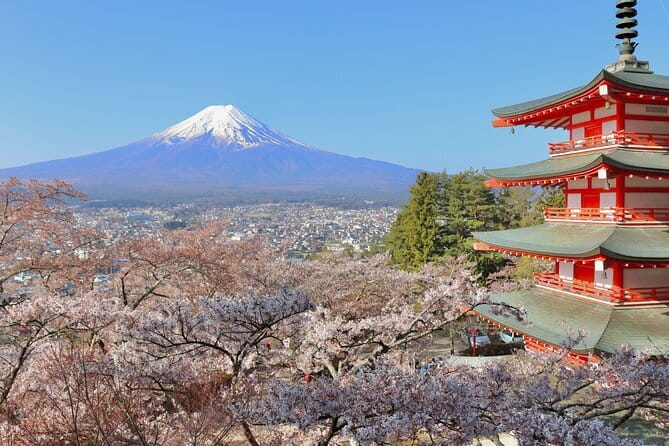 Calligraphy Experience in Shizuoka Fuji and Shizuoka Tea - Cultural Immersion