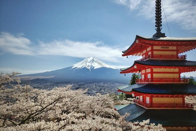 Calligraphy Experience in Shizuoka Fuji and Shizuoka Tea - Reviews and Ratings
