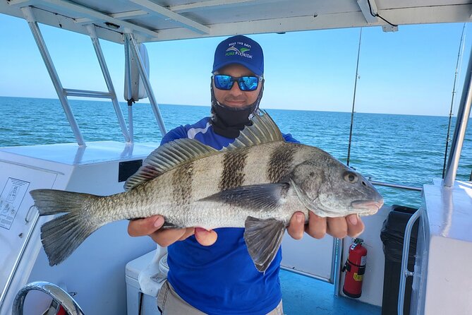Calm Bay Fishing - Small Group Experience