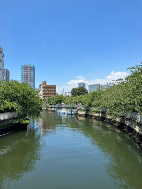 Calm Tokyo - Temple and Shrine Experience With a Real Local - Guided Tour of the Area