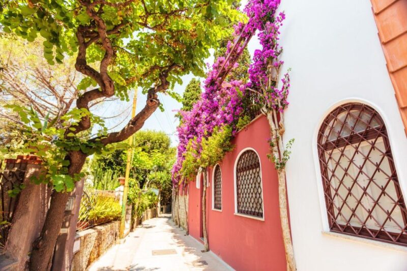 Calming Family Walking Tour in Capri - Tour Experience