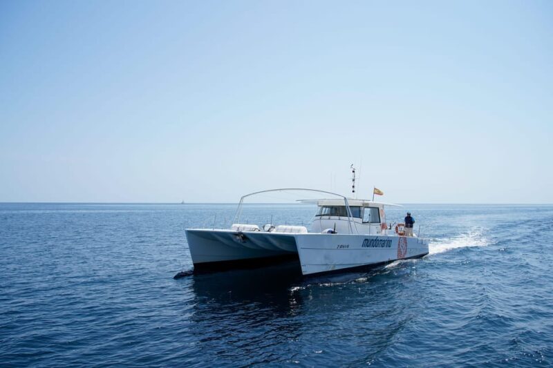 Calpe: Motor Catamaran With Optional Lunch and Swimming Stop - Tour Duration and Languages