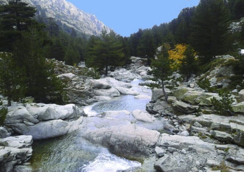 Calvi: Asco Valley 4x4 Day Tour With Guide - Knowledge From Local Guide