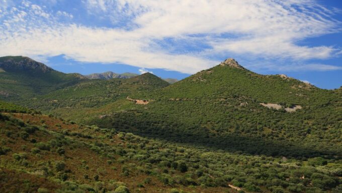 Calvi: Asco Valley 4x4 Day Tour With Guide - Frequently Asked Questions