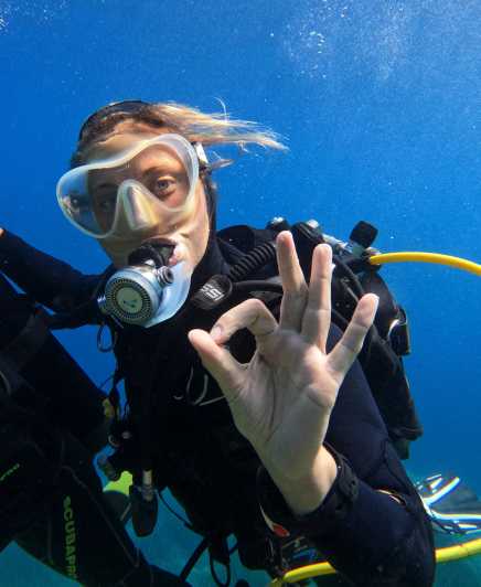 Calvi: Discover Scuba Diving - Itinerary and Experience
