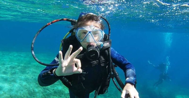 Calvi: Introduction to Diving Dive With an Instructor - Key Points