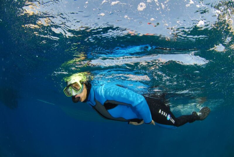 Calvi: Pointe De La Revellata Snorkeling Boat Tour - Underwater Exploration