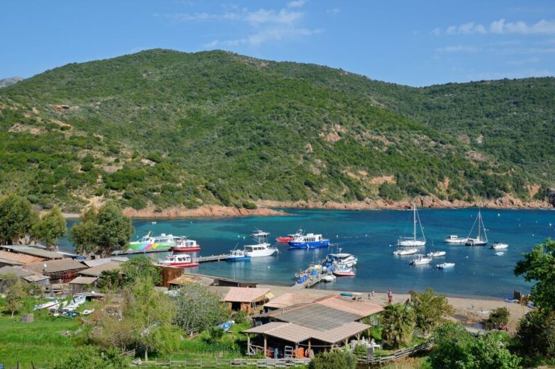 Calvi: Scandola and Girolata 6-Hour Boat Tour - Visit the Village of Girolata