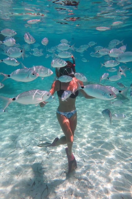 Calvi: Underwater Journey at the Edge of a Natural Reserve - Boat Amenities and Facilities