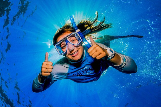 Calypso Outer Great Barrier Reef Cruise From Port Douglas - Key Points