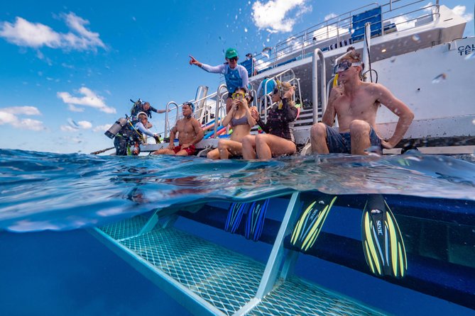 Calypso Outer Great Barrier Reef Cruise From Port Douglas - Snorkeling and Diving Options