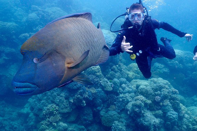 Calypso Outer Great Barrier Reef Cruise From Port Douglas - Reef Sites Visited