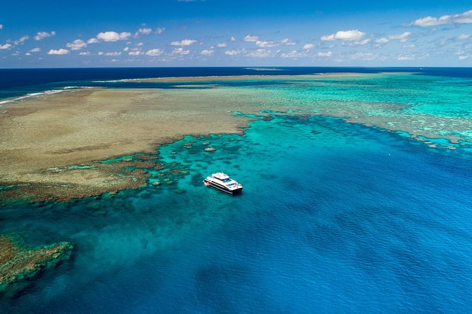 Calypso Outer Great Barrier Reef Cruise From Port Douglas - Interpretive Reef Talk