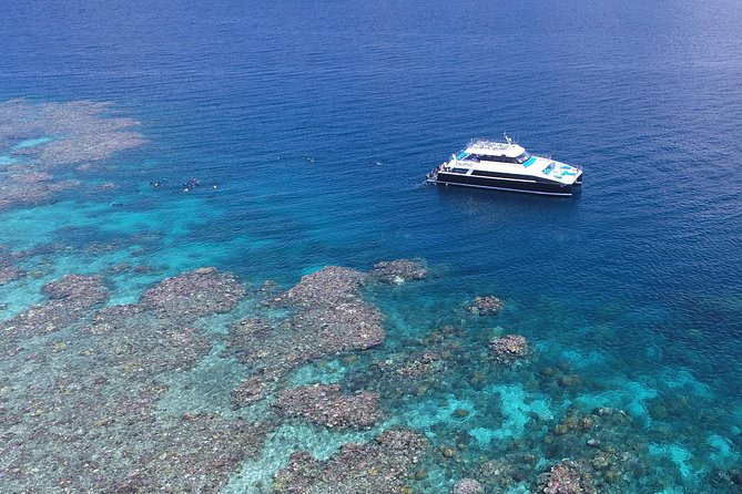 Calypso Outer Great Barrier Reef Cruise From Port Douglas - Additional Information