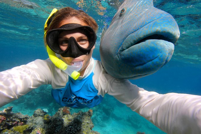 Calypso Outer Great Barrier Reef Cruise From Port Douglas - Booking and Cancellation