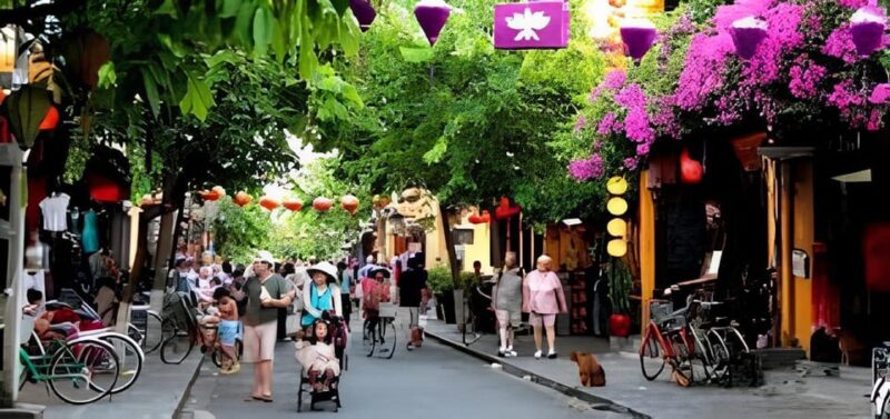 Cam Thanh Coconut Jungle & Hoi An City: Morning Adventure. - Important Information