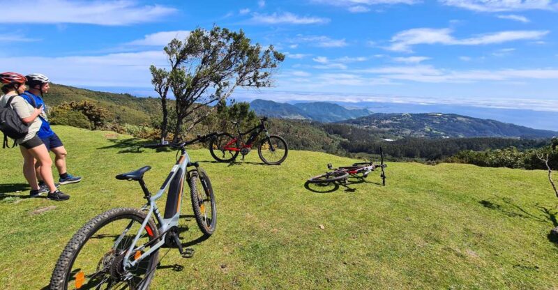 Camacha: Levada Trail E-Bike Guided Tour - Activity Highlights