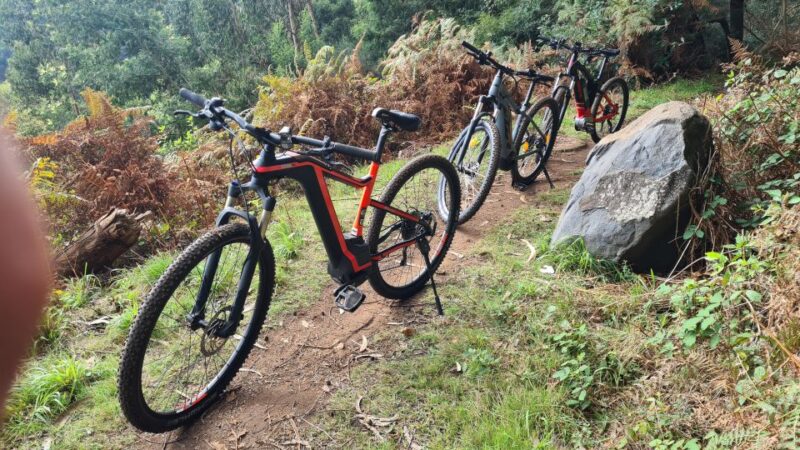 Camacha: Levada Trail E-Bike Guided Tour - Included in the Tour