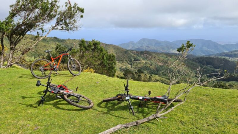 Camacha: Levada Trail E-Bike Guided Tour - Important Considerations