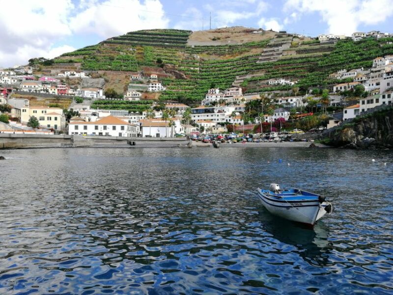 Camara De Lobos: 1.5-Hour Tour in a Tuk Tuk - Key Points