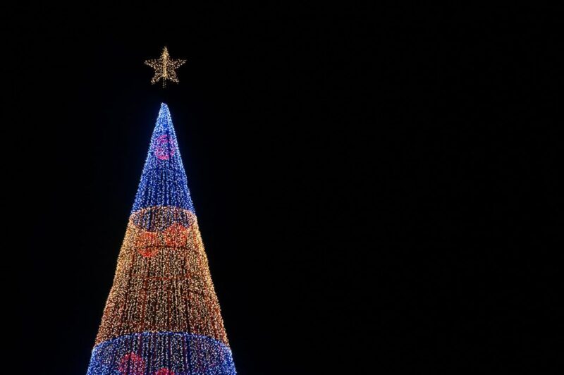 Camara De Lobos and Funchal Christmas Lights Tour - Inclusions
