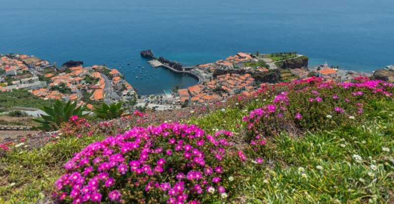 Câmara De Lobos: Private Fishing Village Tour by Tuk-Tuk - Scenic Drive Through Funchal