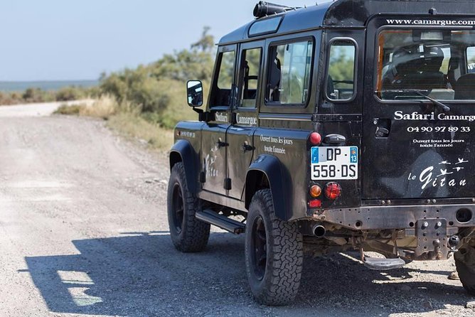 Camargue 4x4 Safari 2 Hours Saintes Maries De La Mer - Spotting the Famous Camargue Horses