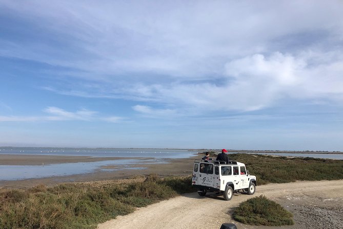 Camargue 4x4 Safari 2 Hours Saintes Maries De La Mer - Recommendations and Restrictions