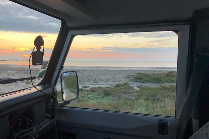 Camargue 4x4 Safari Day - Guided by a Passionate Expert
