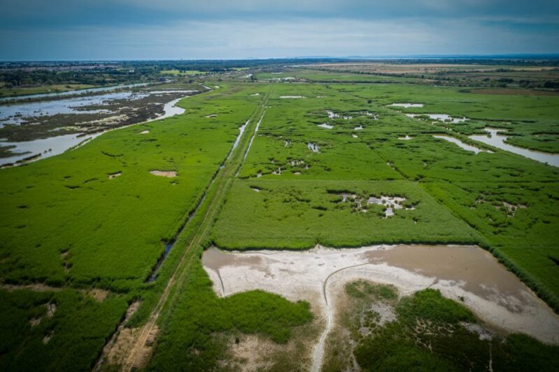 Camargue: Guided Electric Bike Tour - Electric Bike Ride