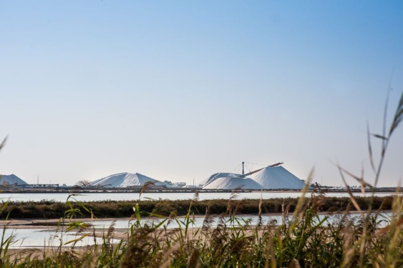 Camargue: Guided Electric Bike Tour - Wine Tasting and Local Snacks