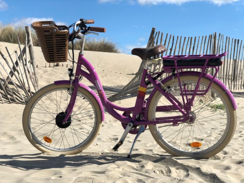 Camargue: Guided Electric Bike Tour - Wildlife Viewing