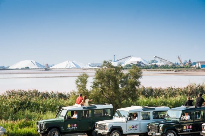 Camargue: Half-Day 4x4 Guided Safari Adventure - Customer Reviews