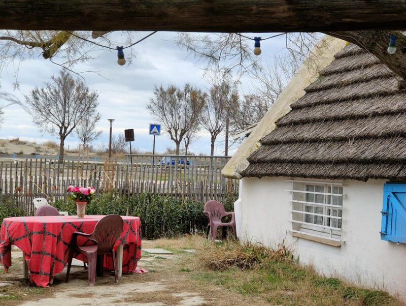 Camargue, Its Secrets and Its Magic: an Exclusive Tour - Encountering the Iconic Camargue Horses and Cattle