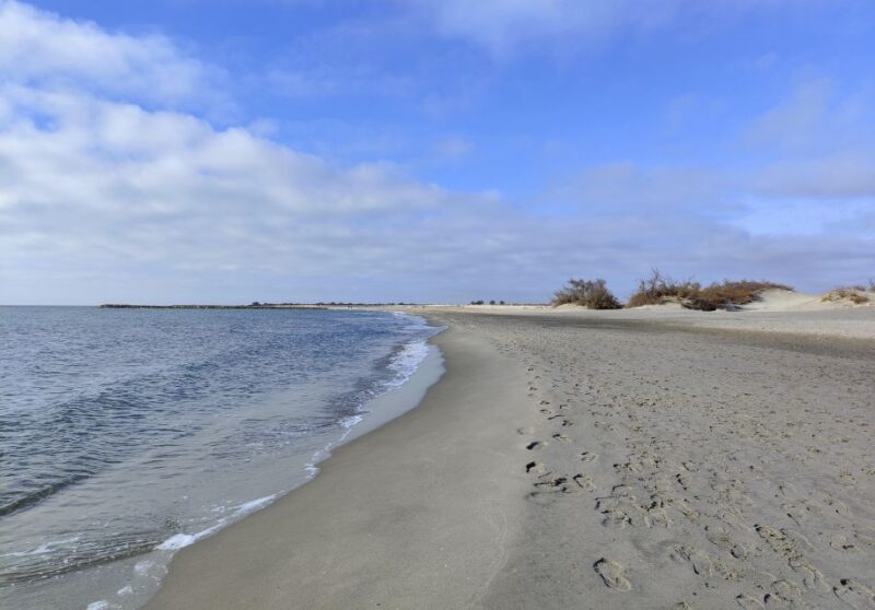 Camargue, Its Secrets and Its Magic: an Exclusive Tour - The Pink Flamingo Wonderland