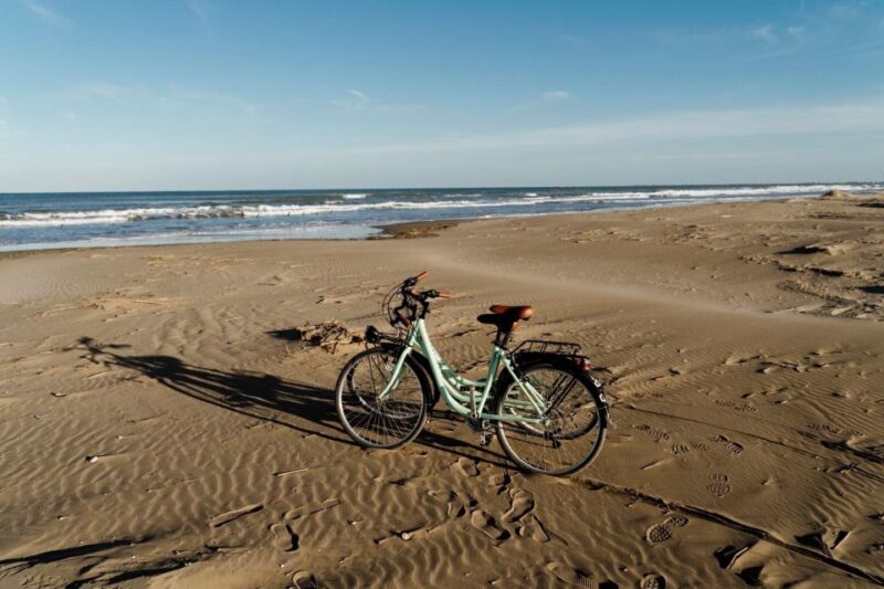 Camarles: Bike Rental - Key Points