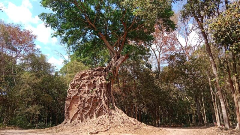 Cambodia: 7-Day Cycling Tour From Phnom Penh to Siem Reap - Arrival in Phnom Penh