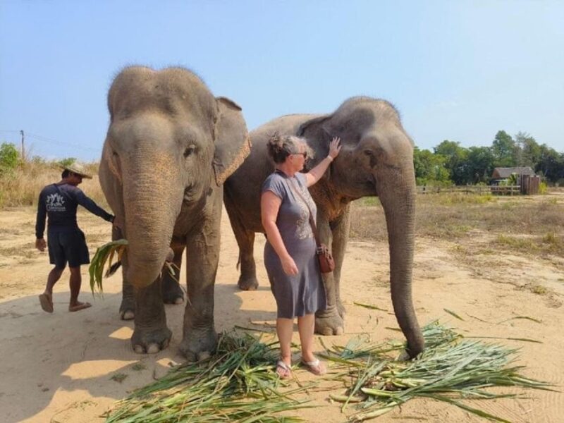 Cambodia Elephant Sanctuary and Banteay Srey Temple Tour - Good To Know