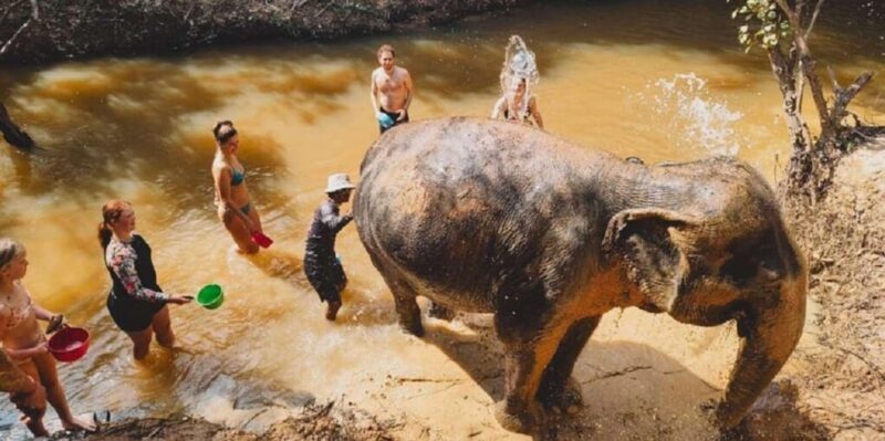 Cambodia Elephant Sanctuary and Banteay Srey Temple Tour - Booking Information