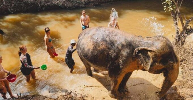 Cambodia Elephant Sanctuary and Banteay Srey Temple Tour - Important Trip Details