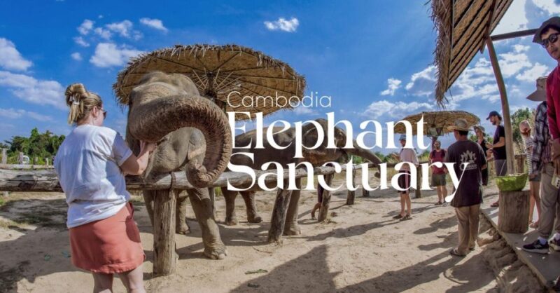 Cambodia Elephant Sanctuary and Banteay Srey Temple Tour - Itinerary and Highlights