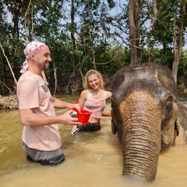 Cambodia Elephant Sanctuary and Banteay Srey Temple Tour - Inclusions and Transportation