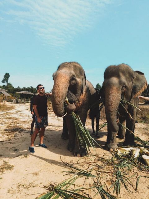 Cambodia Elephant Sanctuary and Banteay Srey Temple Tour - Important Information and Recommendations